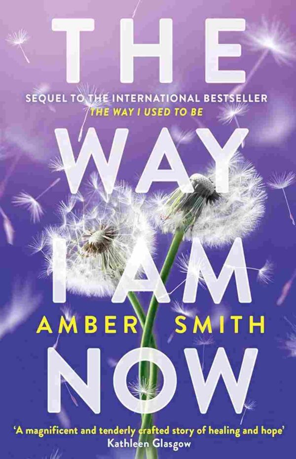 The Way I am Now by Amber Smith