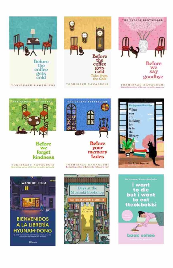 Special Japanese Fiction Novel Combo